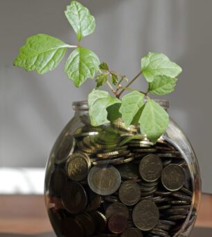 Vertical shot of a plant in a glass jar filled with coins A vertical shot of a plant in a glass jar filled with coins