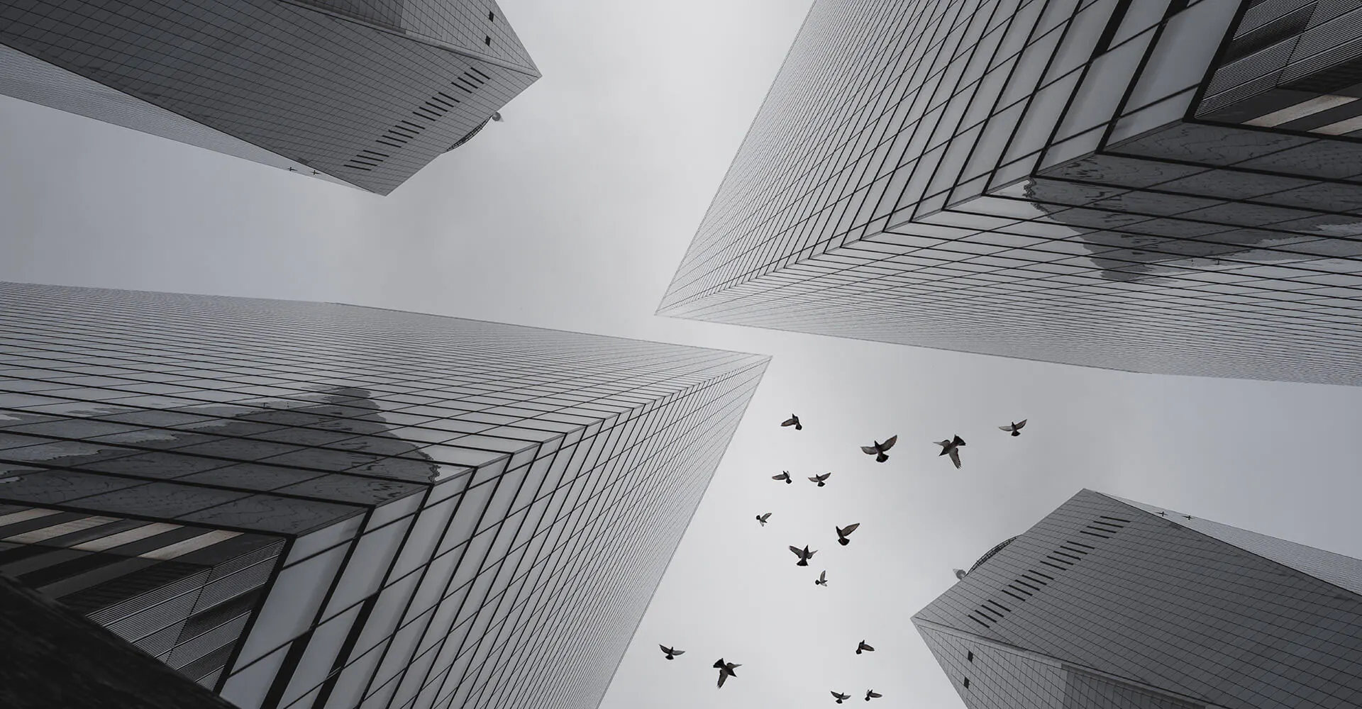 APT Business Services | Outsourcing Firm in Australia